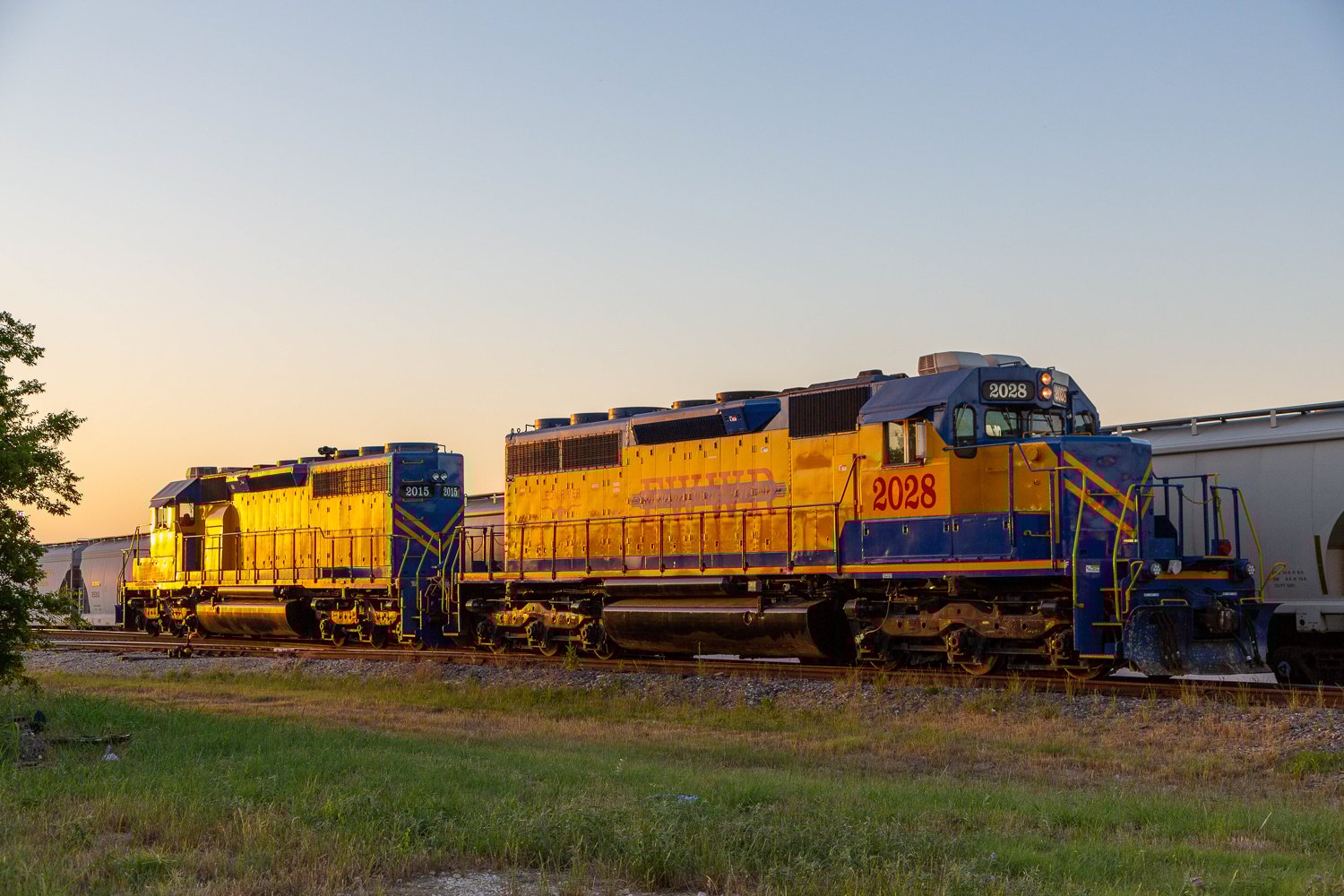 9K5C9866